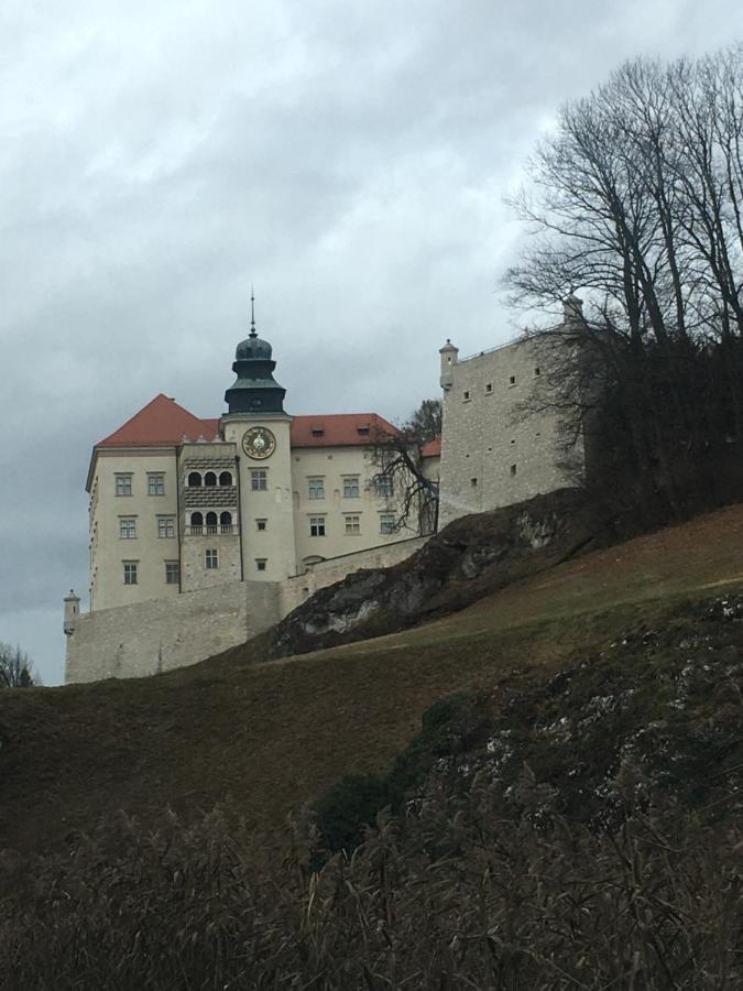 Nasza Polana Pokoje Noclegi Pieskowa Skala Ojcow Exterior photo